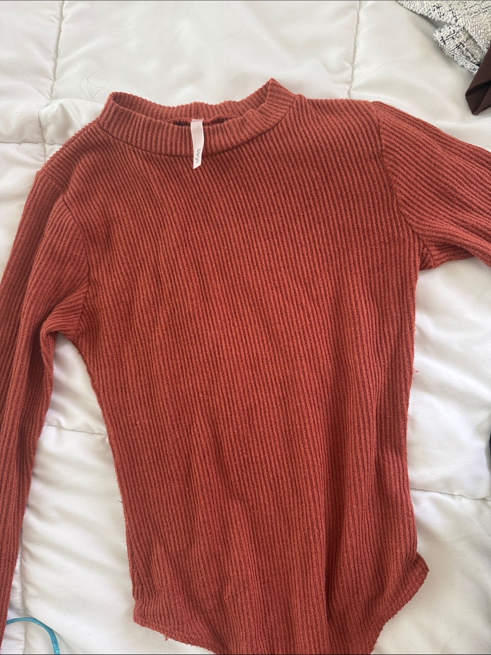 Sage Rust Fall Time Ribbed Crewneck Sweater Top